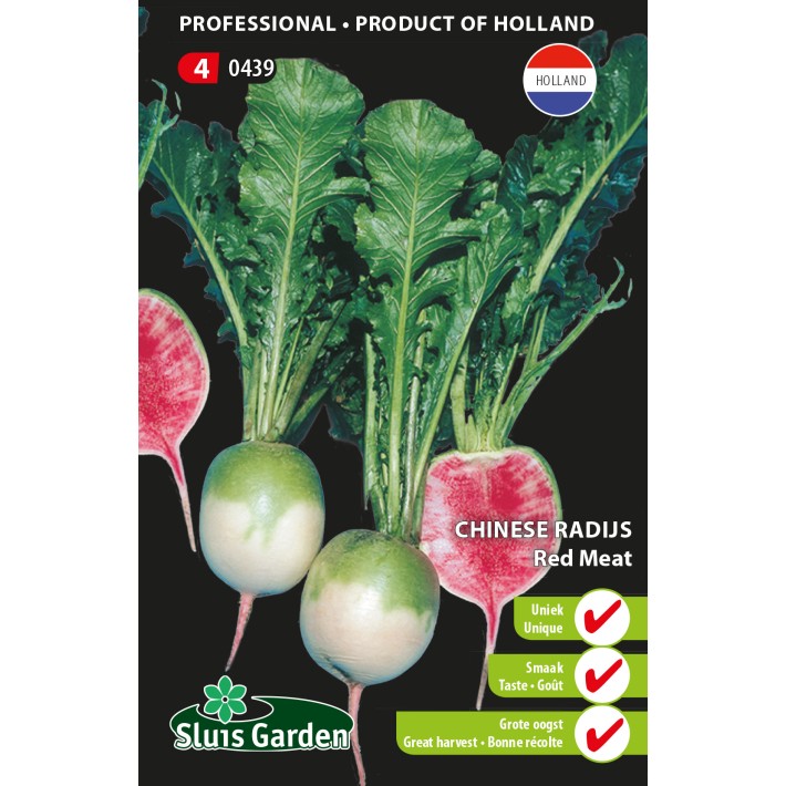 Radish chinese Red Meat