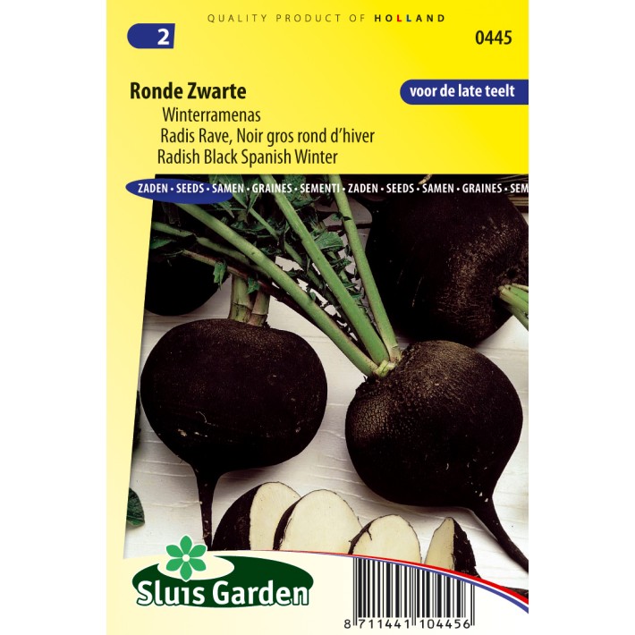 Radish Black Spanish Winter