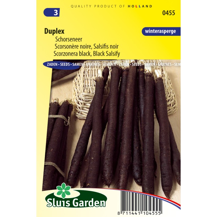 Black salsify Duplex (Scorzonera black)