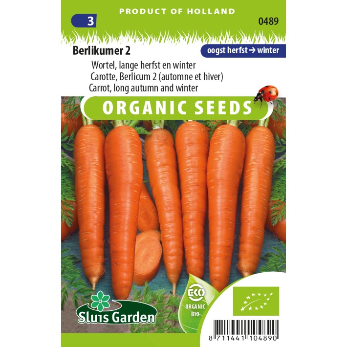 Carrot Berlikumer 2 (Long Autumn and Winter)
