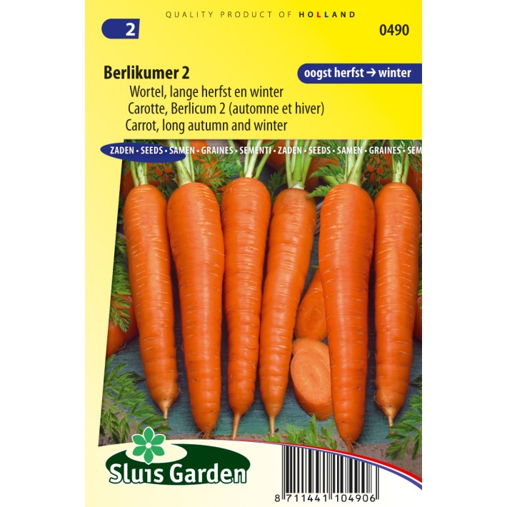 Carrot Berlikumer 2 (Long Autumn and Winter)