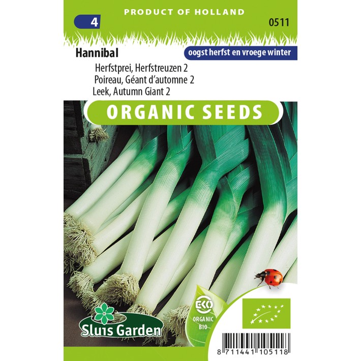 Leek Autumn Giant 2 Hannibal (Autumn)