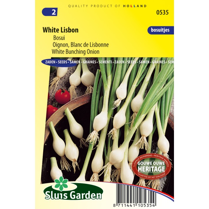 Onion buncing, White Lisbon