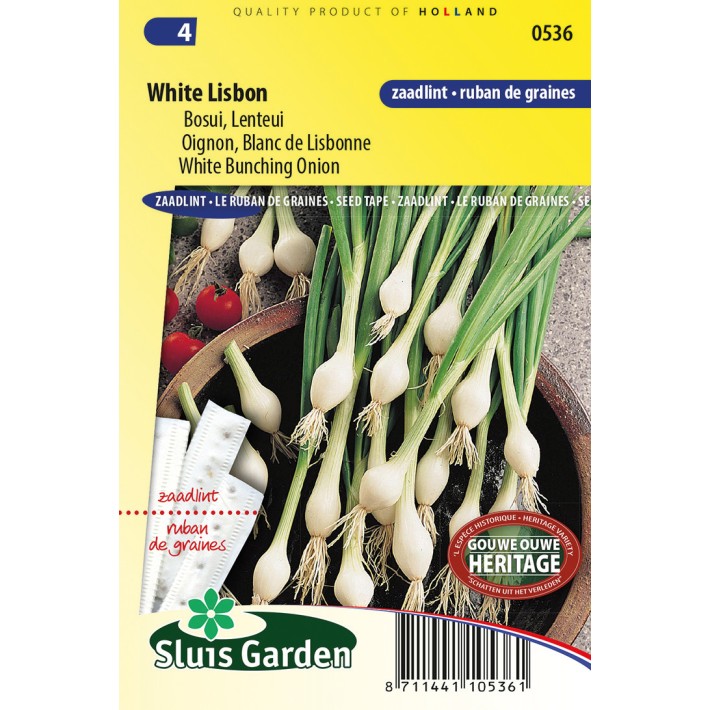 Onion buncing, White Lisbon  SEEDTAPE