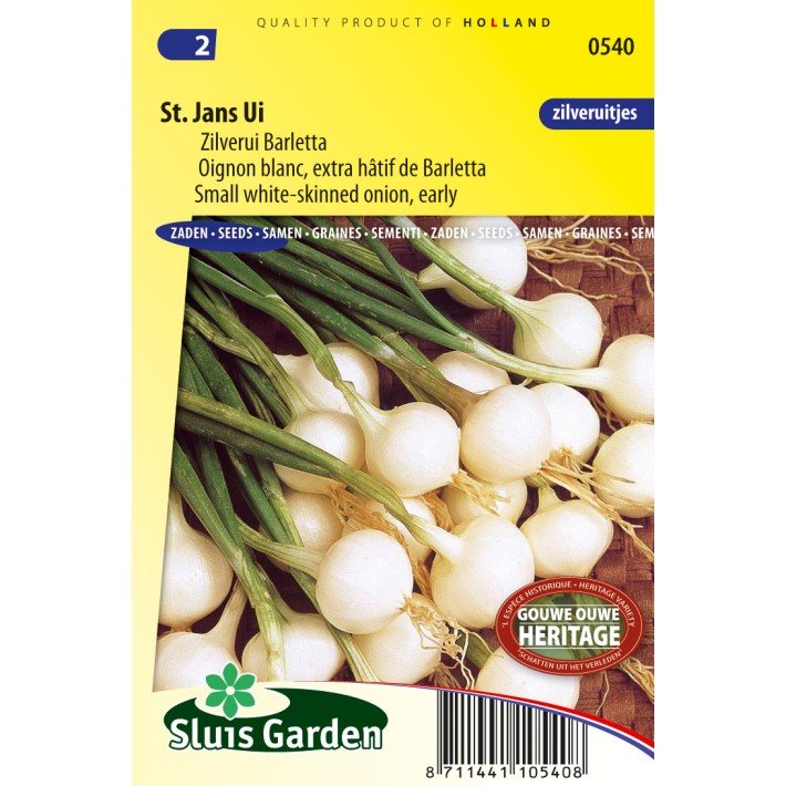 Onion small white-skinned, Barletta