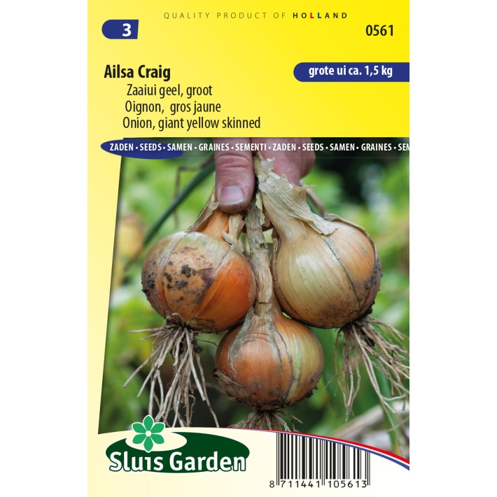 Onion, giant yellow skinned, Ailsa Craig