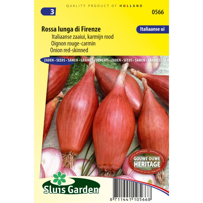 Onion Rossa lunga di Firenze