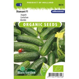 Augurken Diamant F1