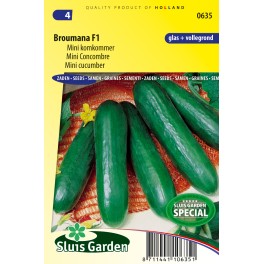 Komkommer Broumana F1