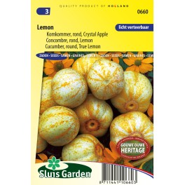 Komkommer Lemon