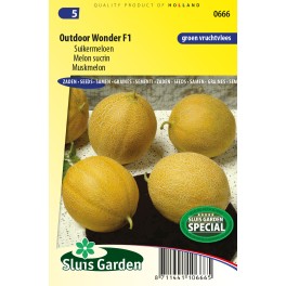 Meloen Outdoor Wonder F1