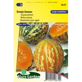 Meloen Oranje Ananas