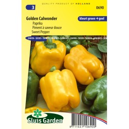 Paprika California Wonder yellow Paprika California Wonder yellow
