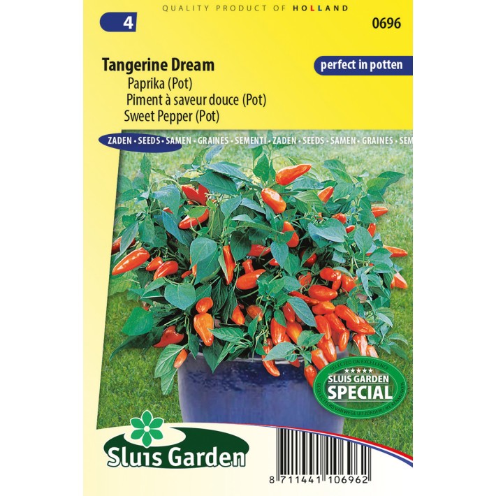Sweet pepper Tangerine Dream F1 (pot)