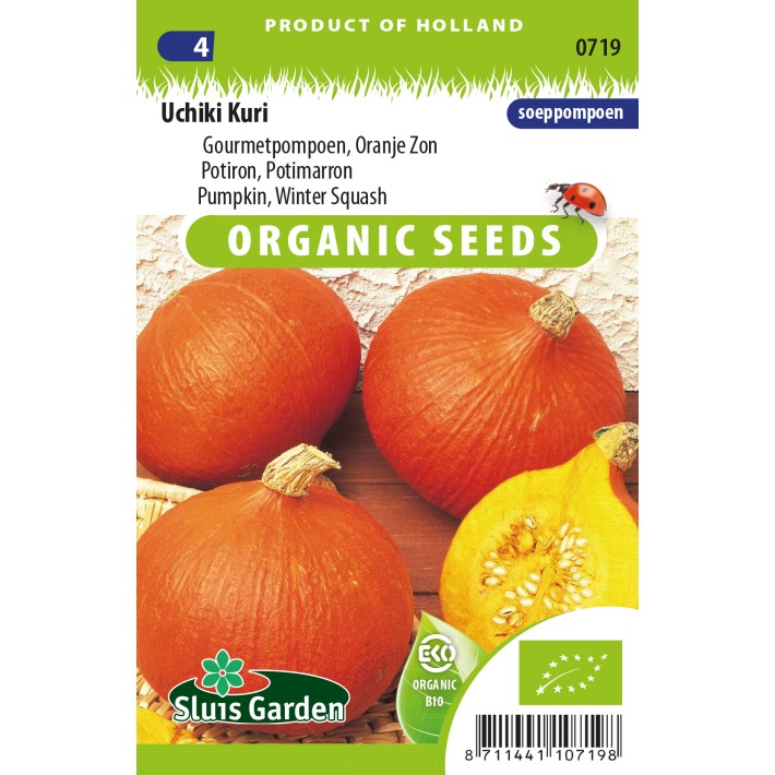 Pumpkin Uchiki Kuri