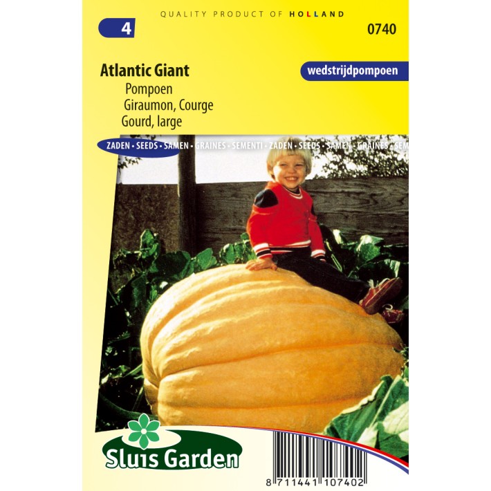 Gourd (large) Atlantic Giant