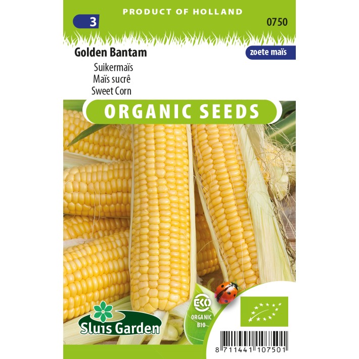 Sweet Corn, Golden Bantam