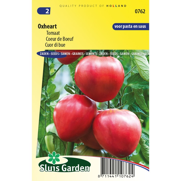 Tomato Cuor di bue Oxheart
