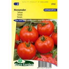 Tomato Moneymaker Tomato Moneymaker