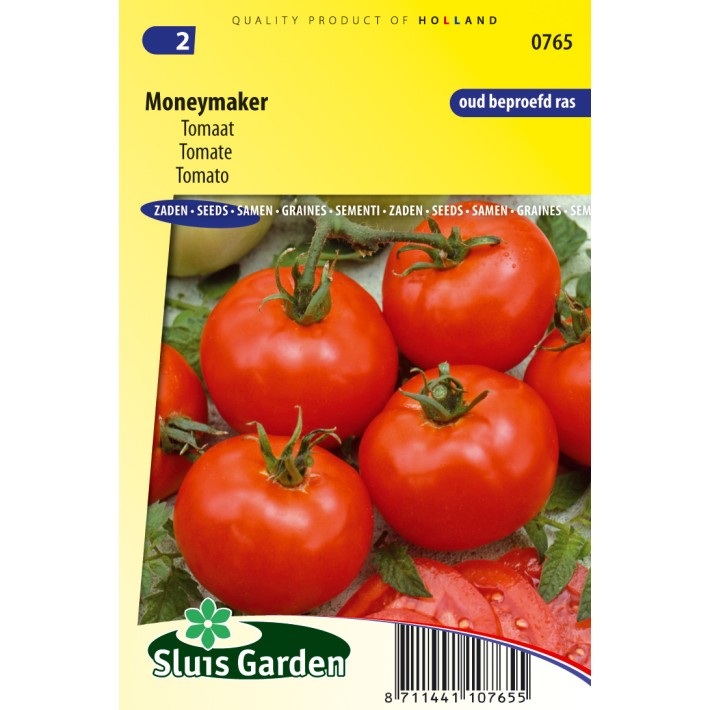 Tomato Moneymaker