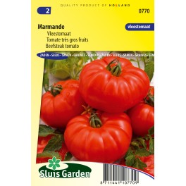Tomato Marmande Tomato Marmande
