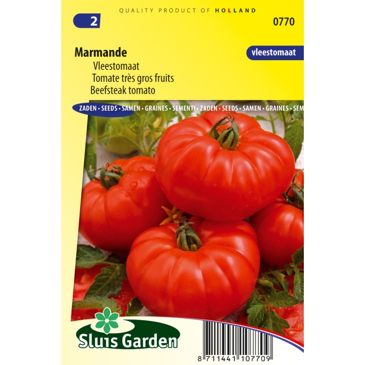 Tomato Marmande