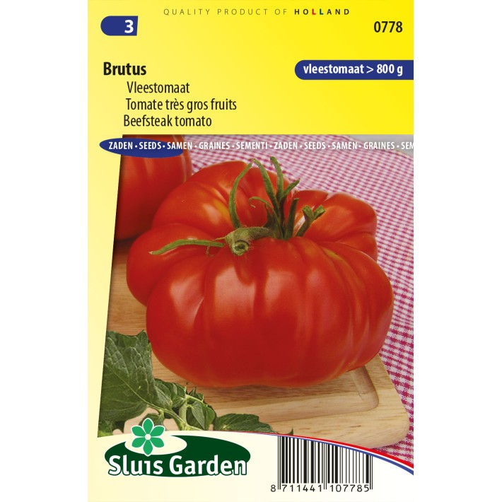 Beefsteak tomato Brutus