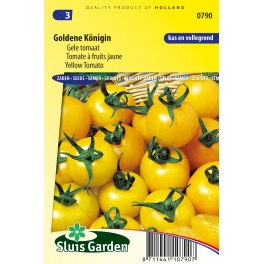 Tomato Goldene Konigin Tomato Goldene Konigin