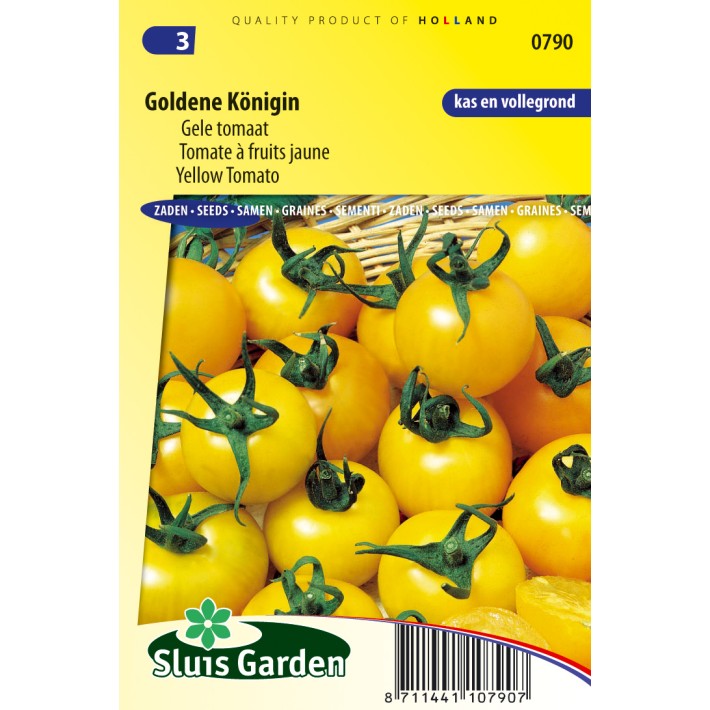 Tomato Goldene Konigin