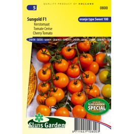 Tomato (trusses) Sungold F1 Tomato (trusses) Sungold F1