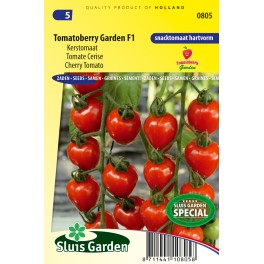 Tomato (trusses) Gardenberry F1 Tomato (trusses) Gardenberry F1
