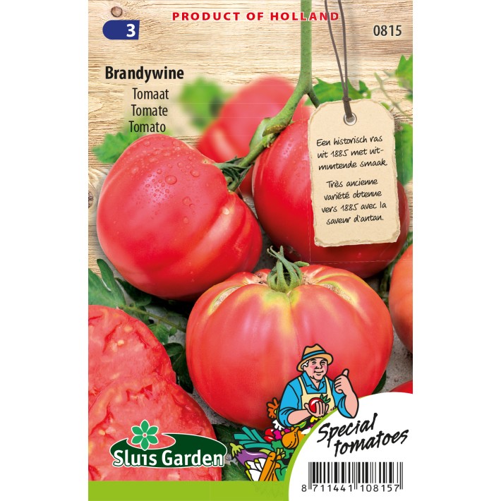 Tomato Brandywine