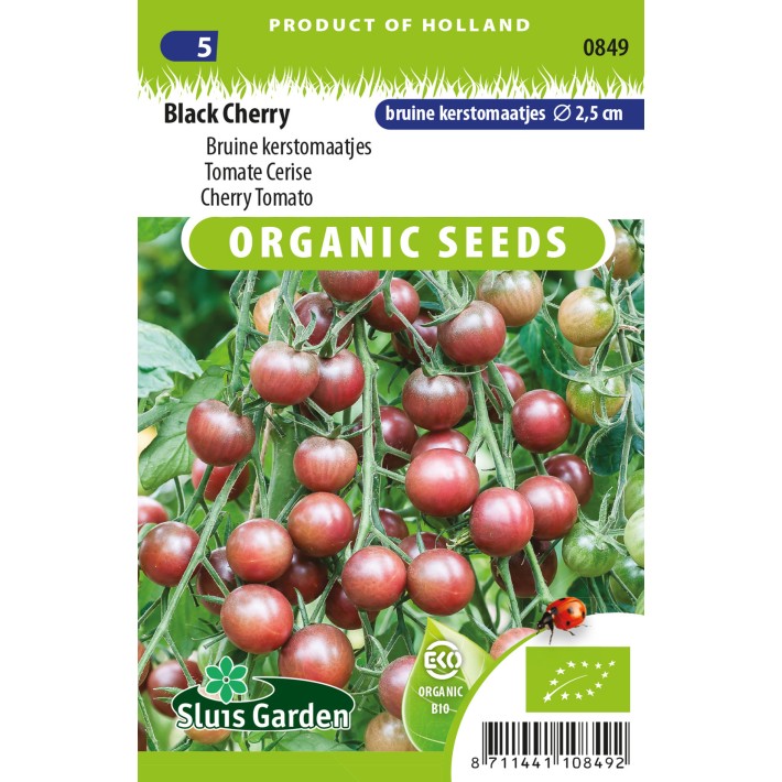 Cherry Tomato, Black Cherry