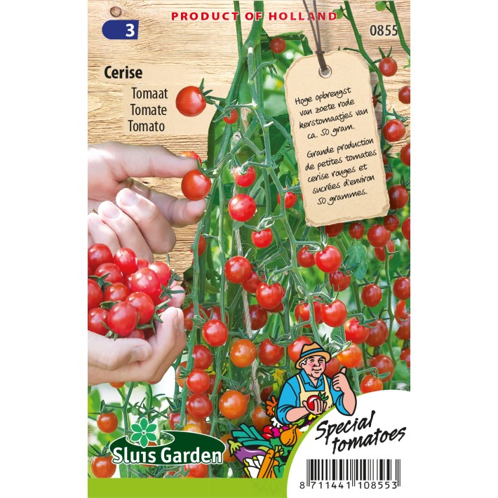 Tomato Cerise