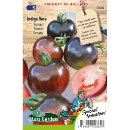 Tomato Indigo Rose Tomato Indigo Rose