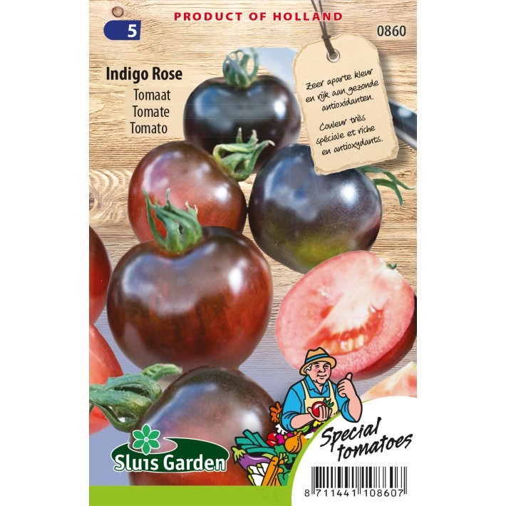 Tomato Indigo Rose