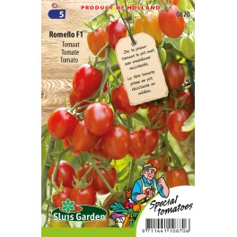 Tomato Romello F1 Tomato Romello F1