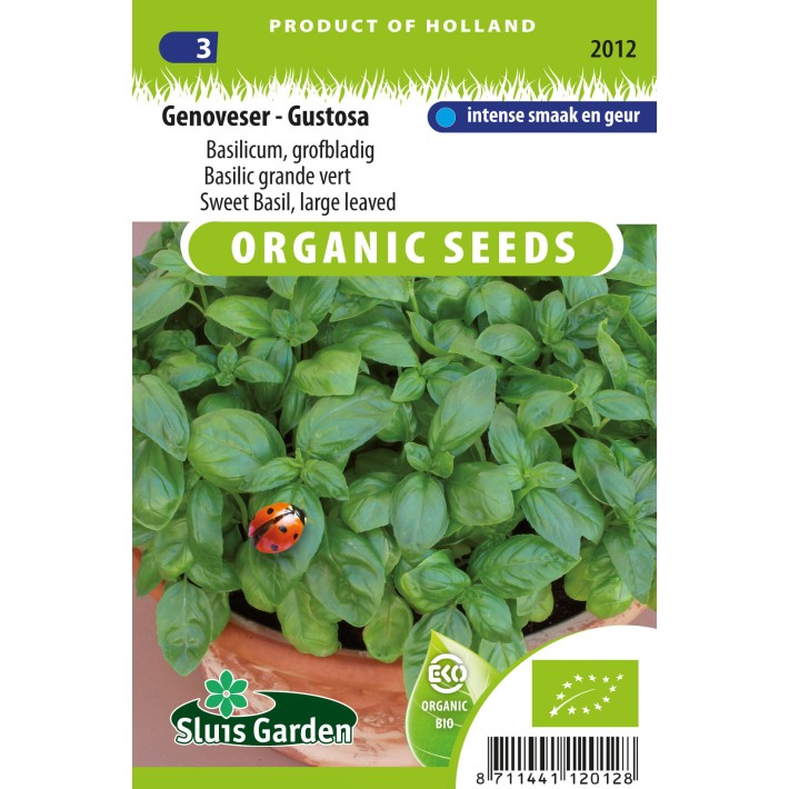 Sweet Basil, large leaved Genoveser - Gustosa