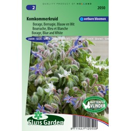 Borage Blauw en wit