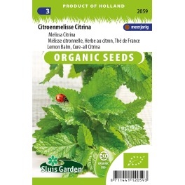 Citroenmelisse Citrina Citroenmelisse Citrina