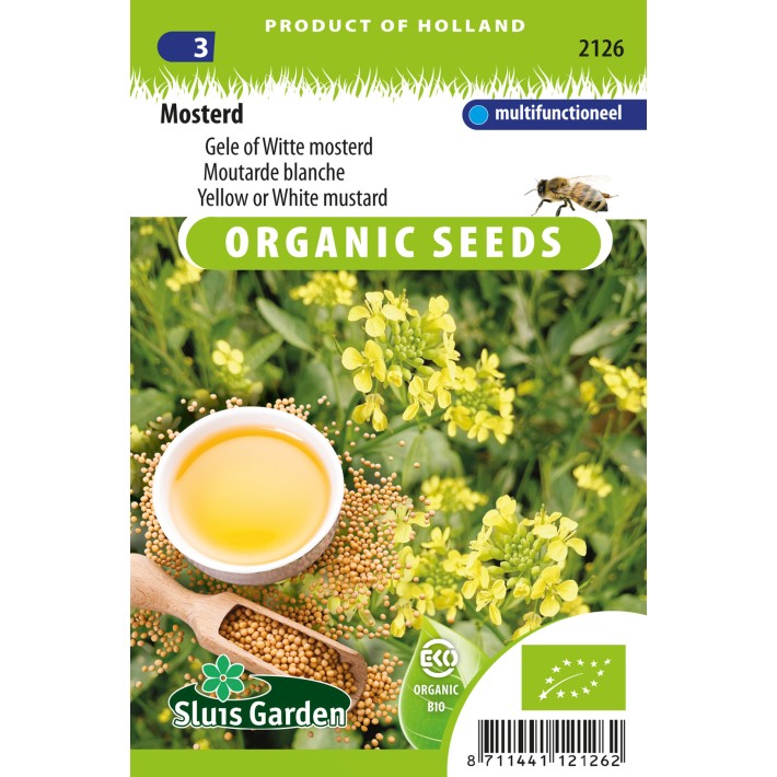 Mustard, yellow / white