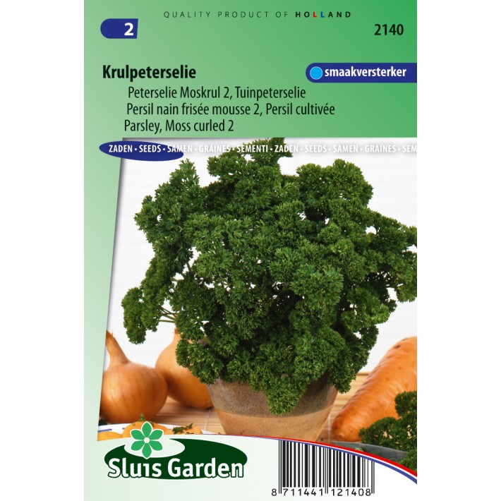 Parsley Moss curled 2