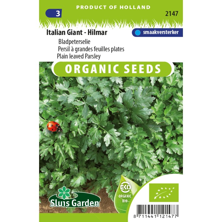 Plain leaved Parsley Italian Giant - Hilmar