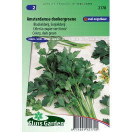 Bladselderij Amsterdamse Donkergroene