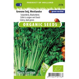 Bladselderij Gewone Snij / Westlandse
