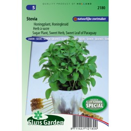 Stevia of Honingplant