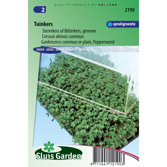 Cress common or plain, Pepperweed