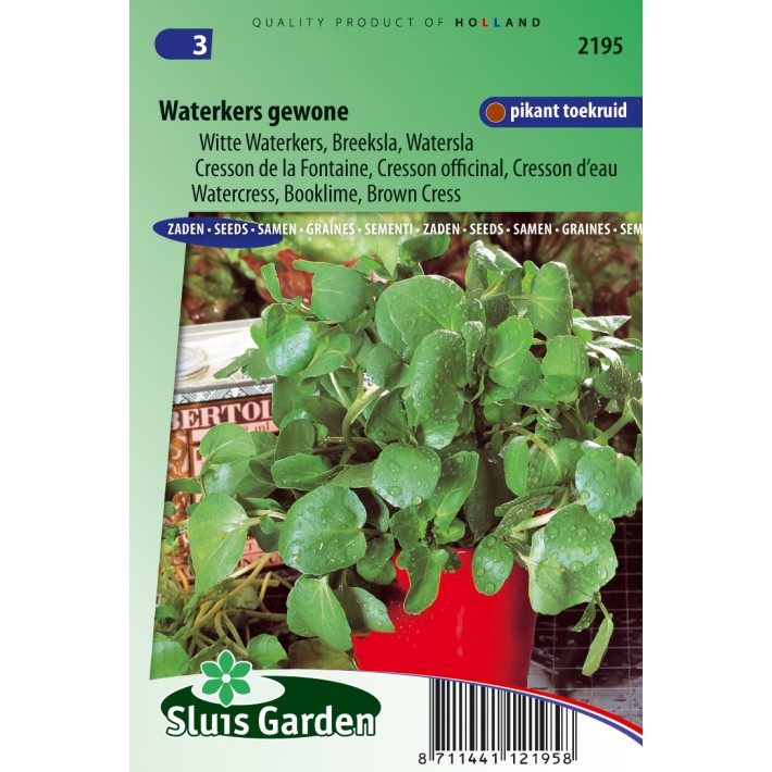 Watercress, Booklime, Brown Cress