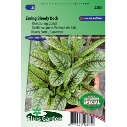 Zuring Bloody dock (bloedzuring)