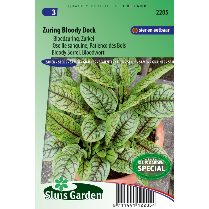 Zuring Bloody dock (bloedzuring)